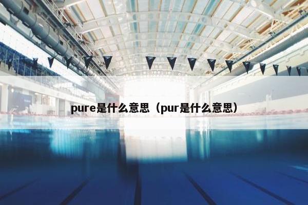 pure是什么意思（pur是什么意思）