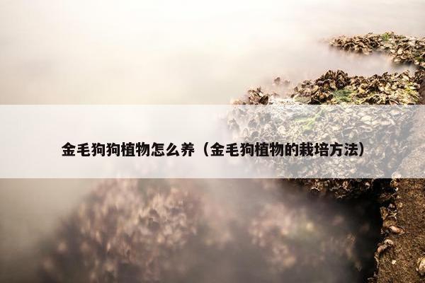 金毛狗狗植物怎么养（金毛狗植物的栽培方法）