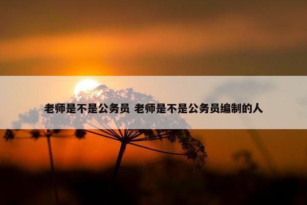 老师是不是公务员 老师是不是公务员编制的人