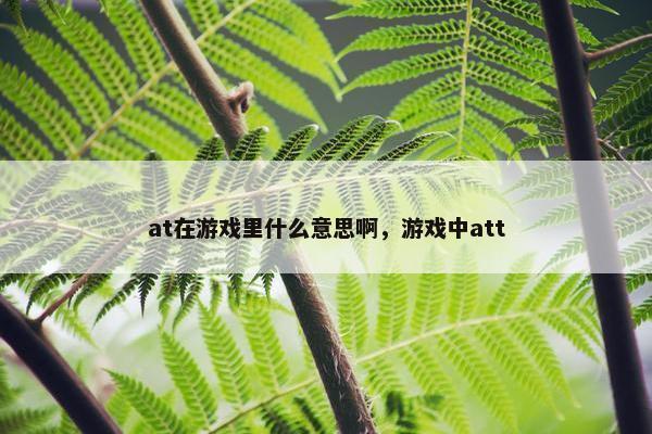 at在游戏里什么意思啊，游戏中att