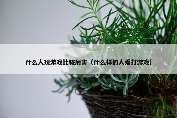 什么人玩游戏比较厉害（什么样的人爱打游戏）