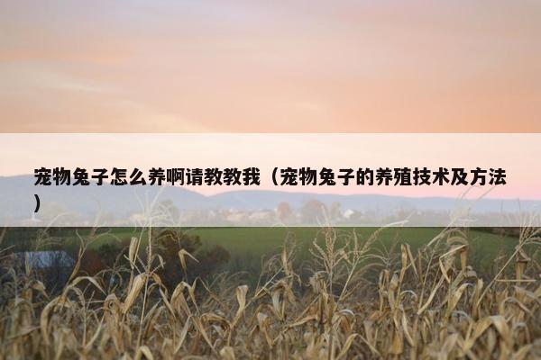 宠物兔子怎么养啊请教教我（宠物兔子的养殖技术及方法）