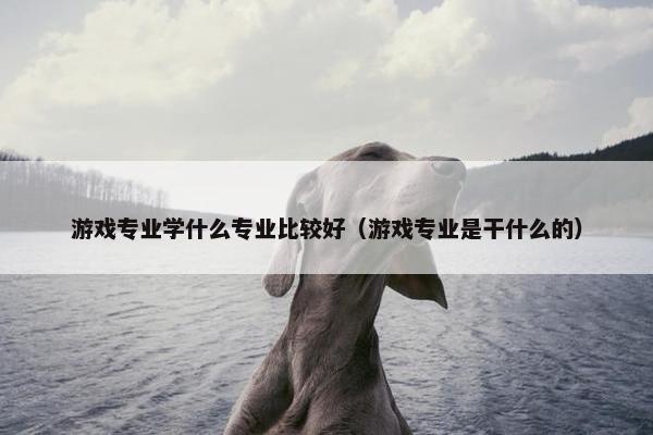 游戏专业学什么专业比较好（游戏专业是干什么的）