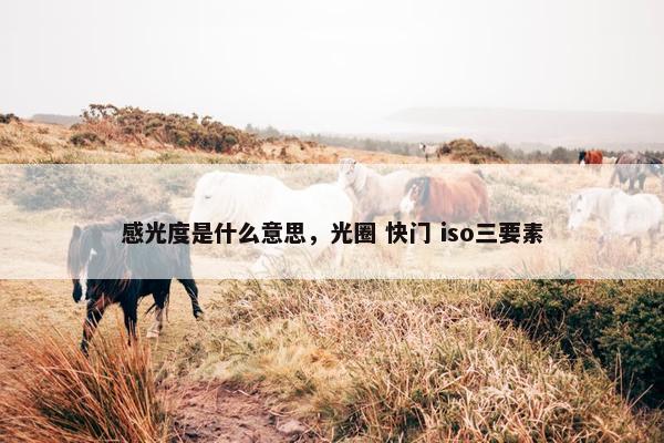 感光度是什么意思，光圈 快门 iso三要素