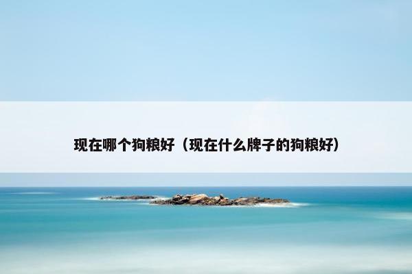 现在哪个狗粮好（现在什么牌子的狗粮好）