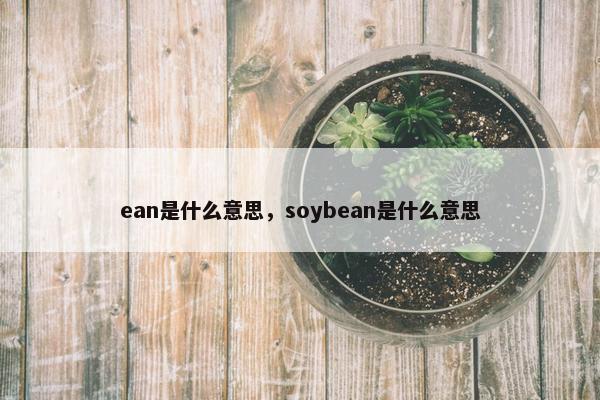 ean是什么意思，soybean是什么意思