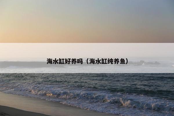 海水缸好养吗（海水缸纯养鱼）