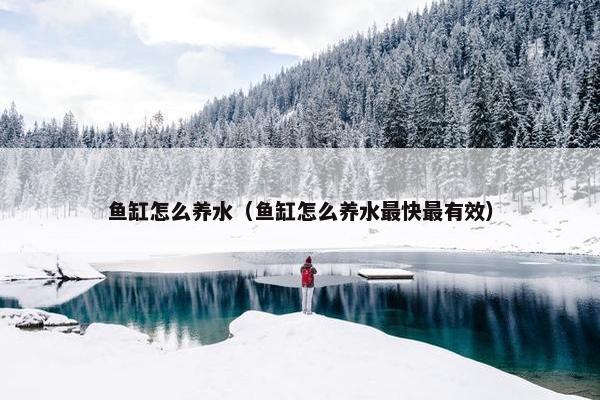 鱼缸怎么养水（鱼缸怎么养水最快最有效）