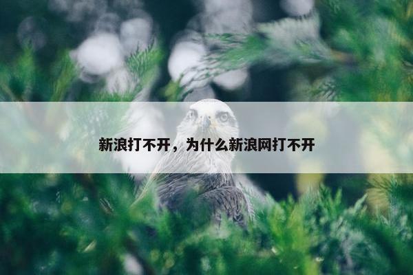 新浪打不开，为什么新浪网打不开