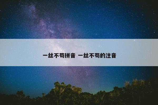 一丝不苟拼音 一丝不苟的注音