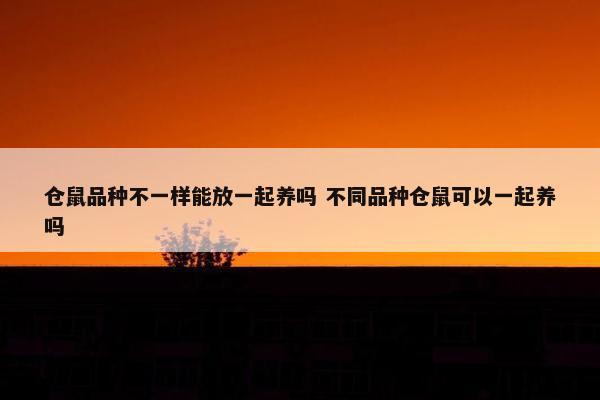 仓鼠品种不一样能放一起养吗 不同品种仓鼠可以一起养吗