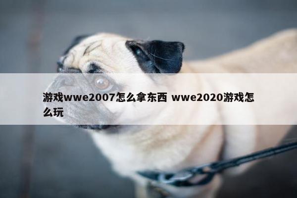 游戏wwe2007怎么拿东西 wwe2020游戏怎么玩