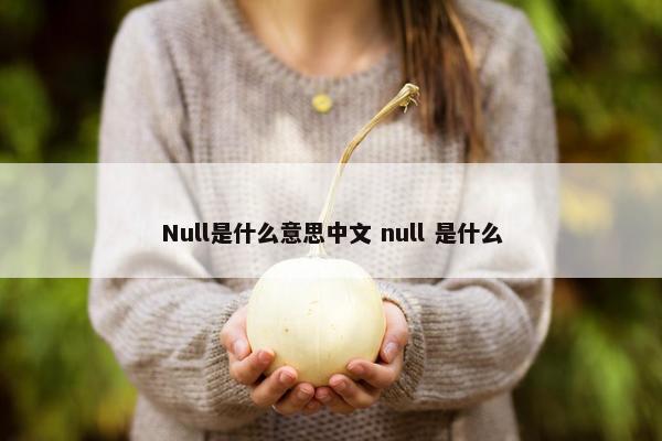 Null是什么意思中文 null 是什么