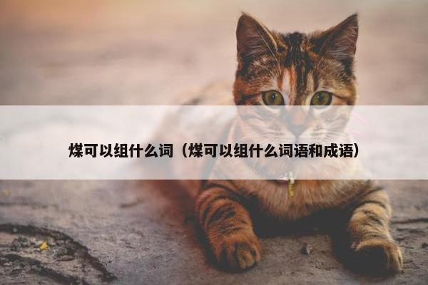 煤可以组什么词（煤可以组什么词语和成语）