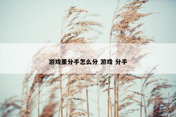 游戏里分手怎么分 游戏 分手