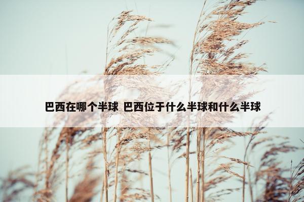 巴西在哪个半球 巴西位于什么半球和什么半球