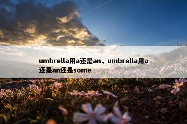 umbrella用a还是an，umbrella用a还是an还是some