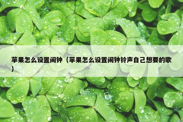 苹果怎么设置闹钟（苹果怎么设置闹钟铃声自己想要的歌）