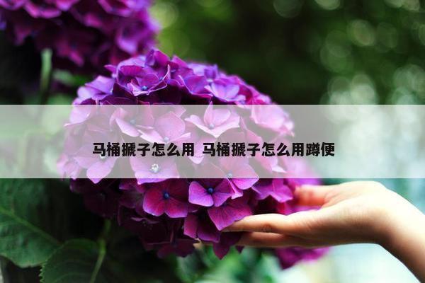 马桶搋子怎么用 马桶搋子怎么用蹲便