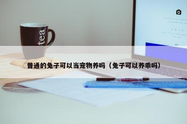 普通的兔子可以当宠物养吗（兔子可以养乖吗）