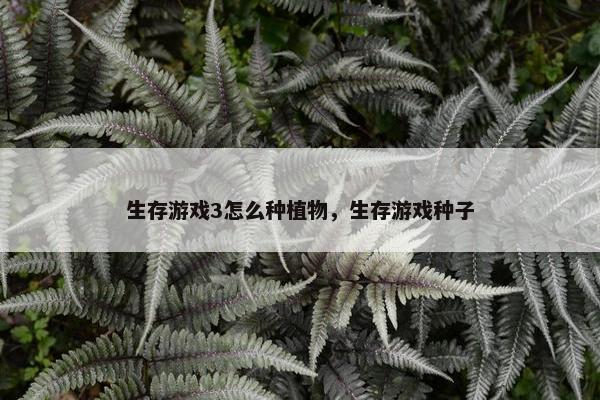 生存游戏3怎么种植物，生存游戏种子