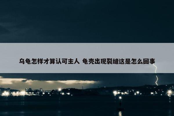 乌龟怎样才算认可主人 龟壳出现裂缝这是怎么回事