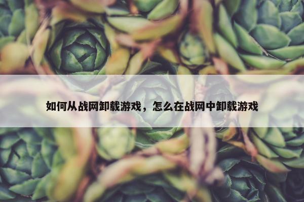 如何从战网卸载游戏，怎么在战网中卸载游戏