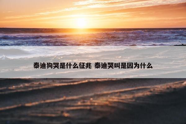 泰迪狗哭是什么征兆 泰迪哭叫是因为什么