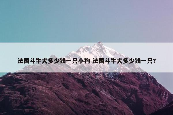 法国斗牛犬多少钱一只小狗 法国斗牛犬多少钱一只?