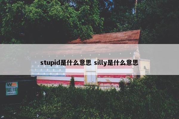 stupid是什么意思 silly是什么意思