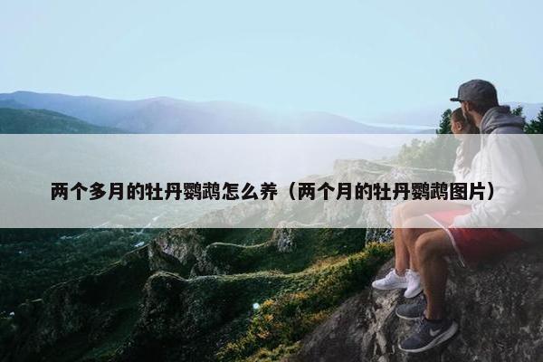 两个多月的牡丹鹦鹉怎么养（两个月的牡丹鹦鹉图片）