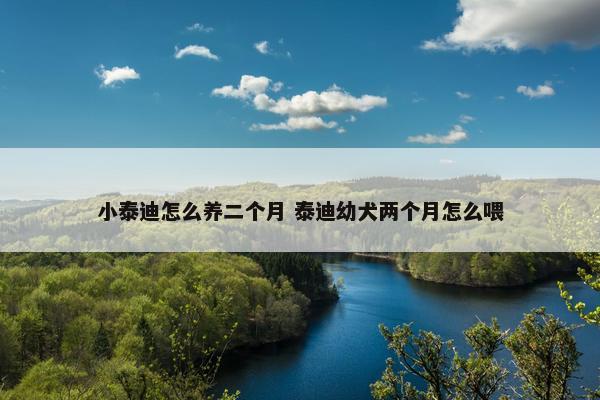 小泰迪怎么养二个月 泰迪幼犬两个月怎么喂