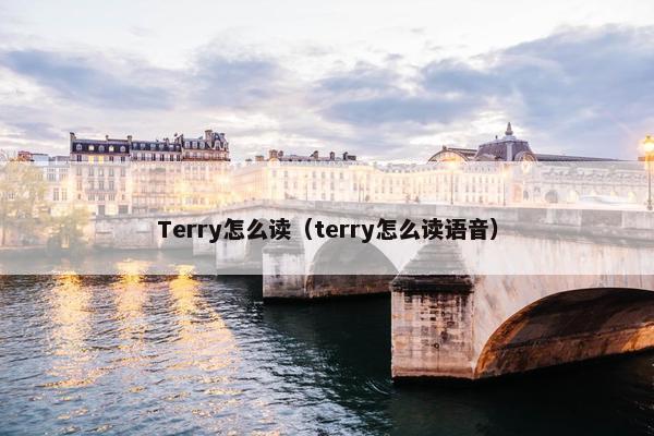 Terry怎么读（terry怎么读语音）