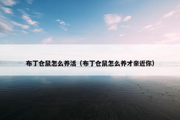 布丁仓鼠怎么养活（布丁仓鼠怎么养才亲近你）