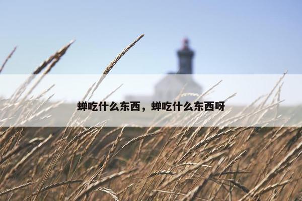 蝉吃什么东西，蝉吃什么东西呀