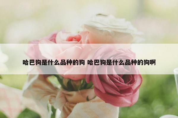 哈巴狗是什么品种的狗 哈巴狗是什么品种的狗啊