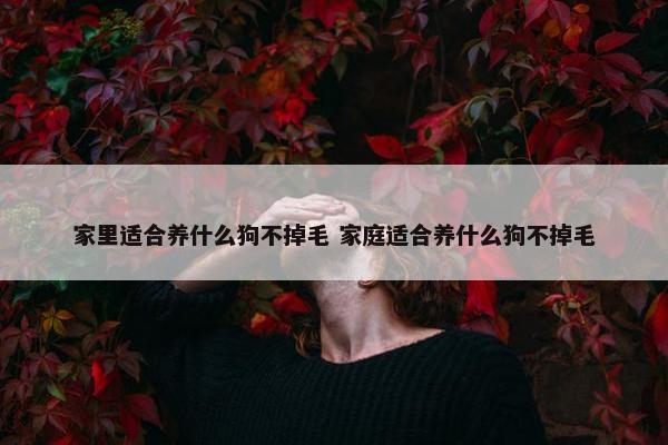 家里适合养什么狗不掉毛 家庭适合养什么狗不掉毛