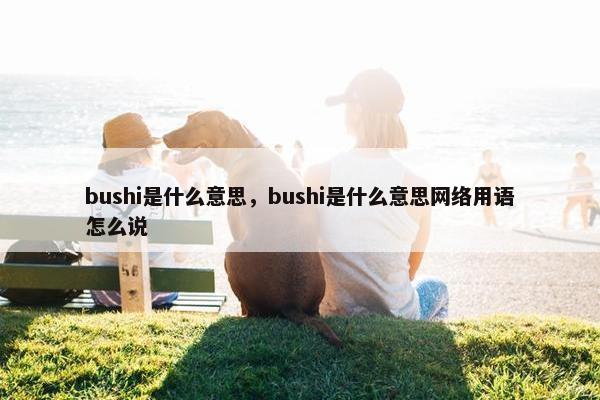 bushi是什么意思，bushi是什么意思网络用语怎么说