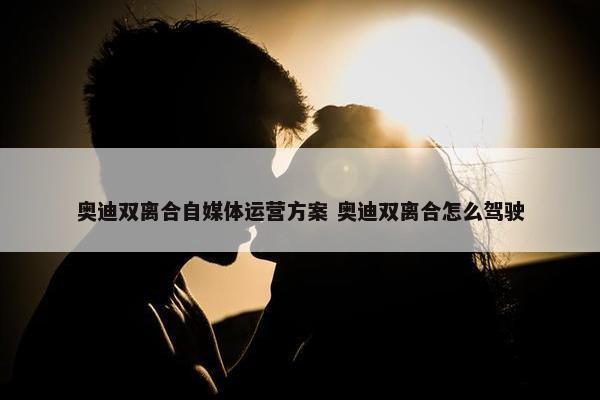 奥迪双离合自媒体运营方案 奥迪双离合怎么驾驶