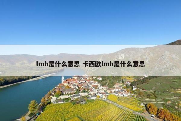 lmh是什么意思 卡西欧lmh是什么意思