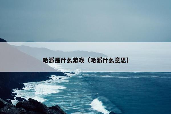 哈派是什么游戏（哈派什么意思）