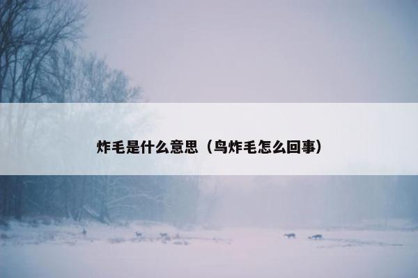 炸毛是什么意思（鸟炸毛怎么回事）