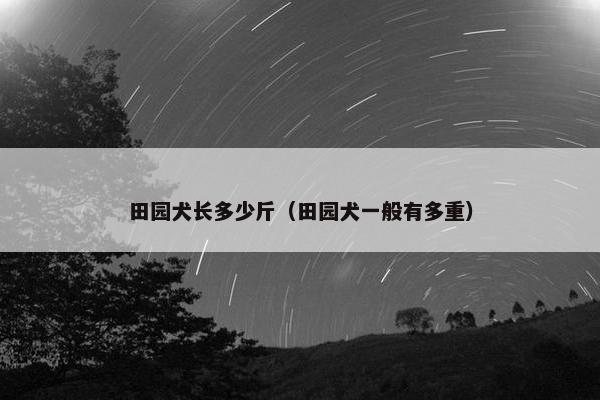 田园犬长多少斤（田园犬一般有多重）