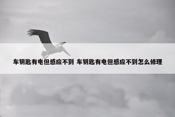 车钥匙有电但感应不到 车钥匙有电但感应不到怎么修理