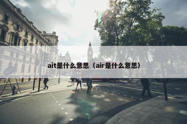 ait是什么意思（air是什么意思）