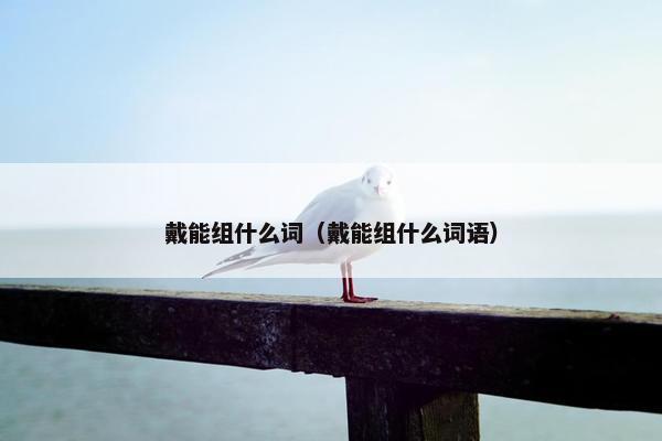 戴能组什么词（戴能组什么词语）