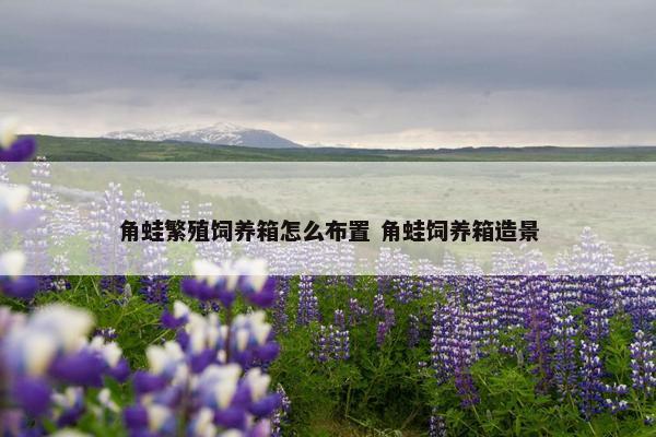 角蛙繁殖饲养箱怎么布置 角蛙饲养箱造景