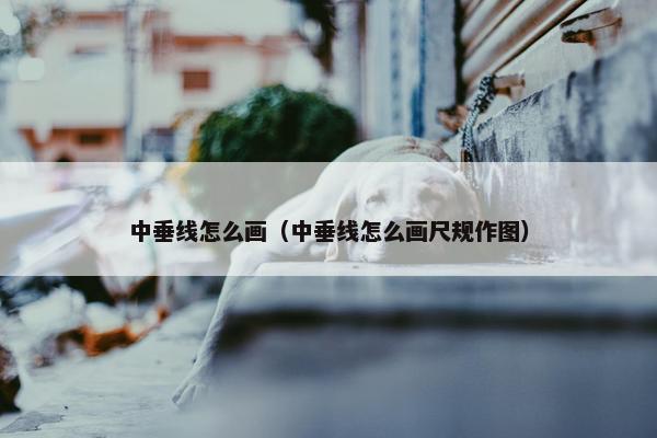 中垂线怎么画（中垂线怎么画尺规作图）