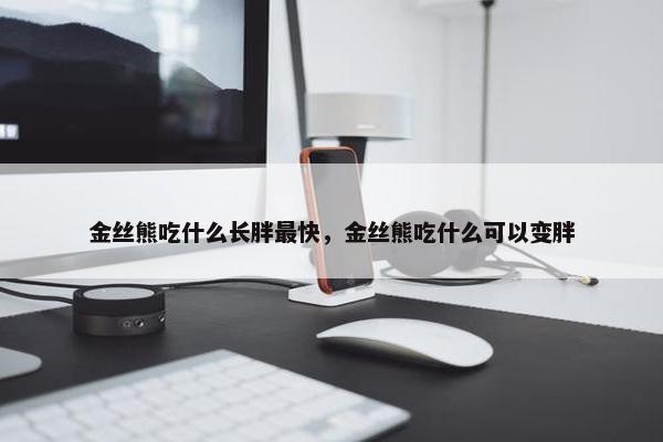 金丝熊吃什么长胖最快，金丝熊吃什么可以变胖