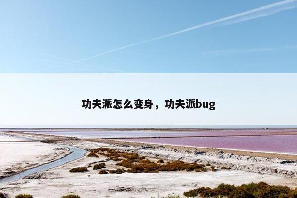 功夫派怎么变身，功夫派bug